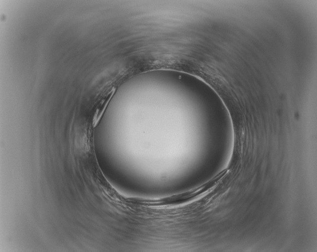 X0000061151250200511210952