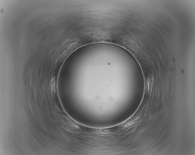 X0000061151251200511210952