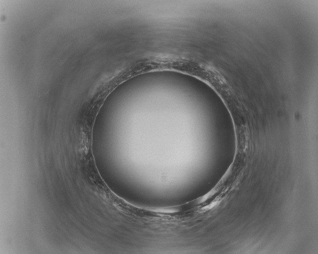 X0000061151253200511210952