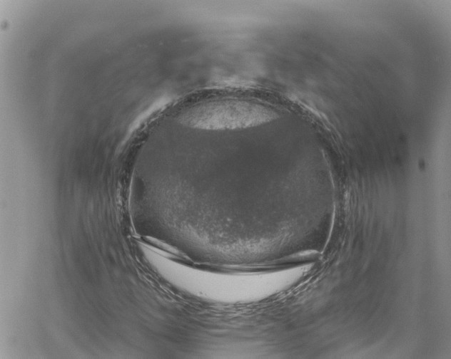 X0000061151254200511210952