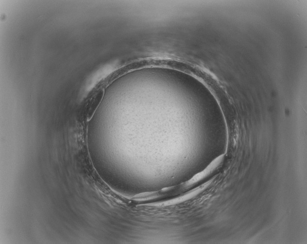 X0000061151255200511210952