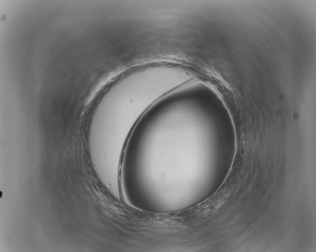 X0000061151256200511210952