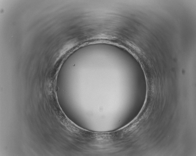 X0000061151258200511210952