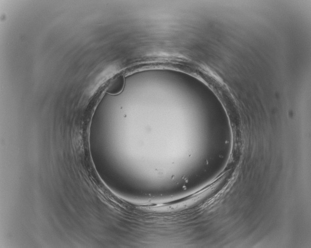 X0000061151259200511210952