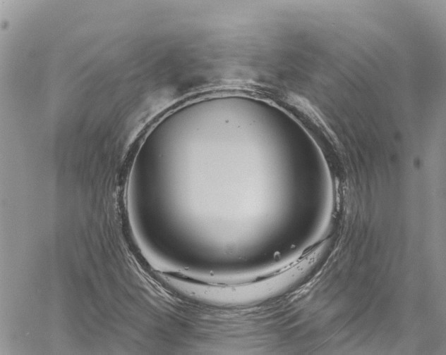 X0000061151260200511210952