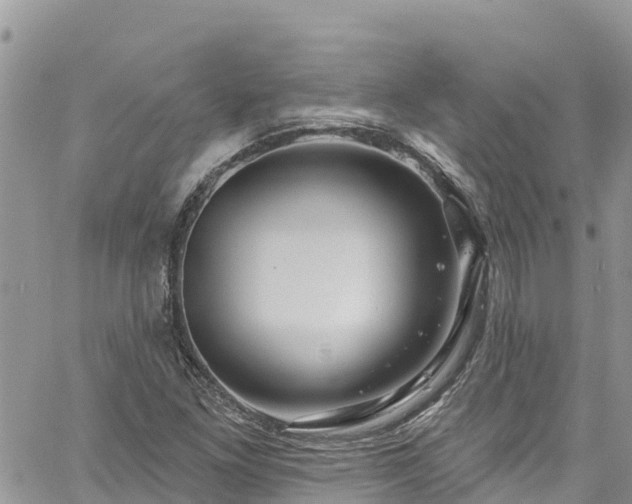 X0000061151261200511210952