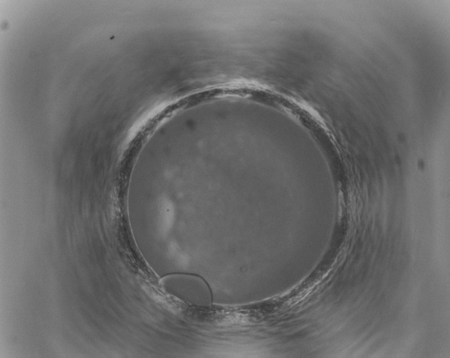 X0000061151263200511210952