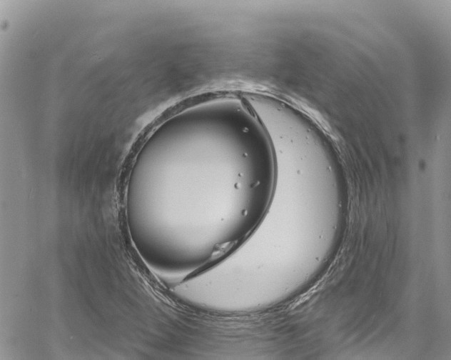 X0000061151264200511210952