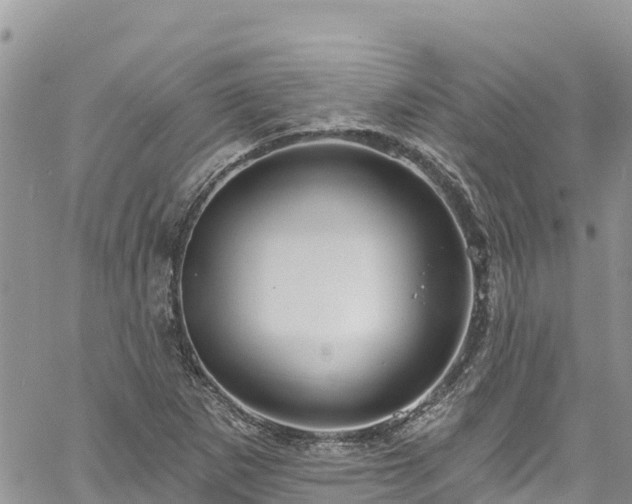 X0000061151265200511210952