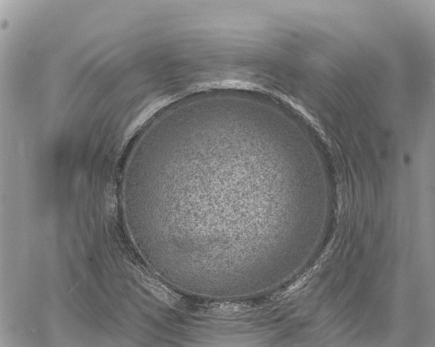 X0000061151266200511210952