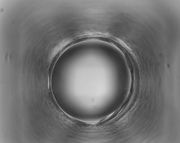 X0000061151269200511210952