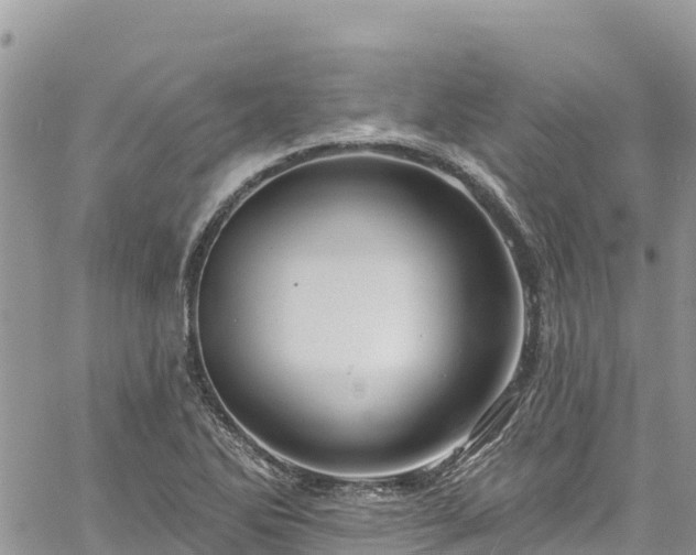 X0000061151270200511210952