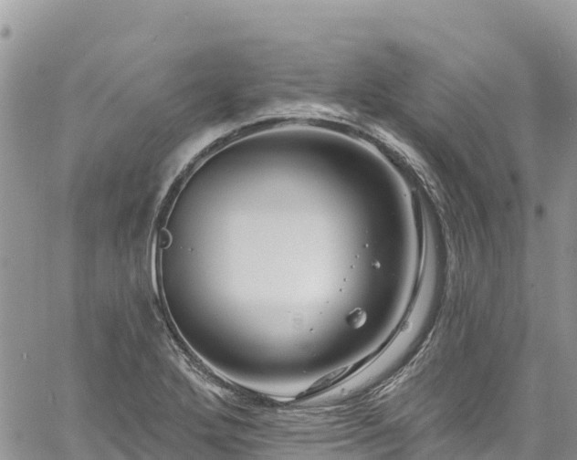 X0000061151272200511210952