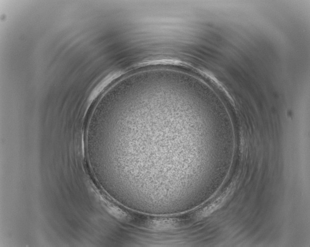 X0000061151274200511210952