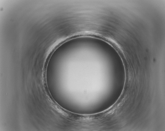 X0000061151278200511210952