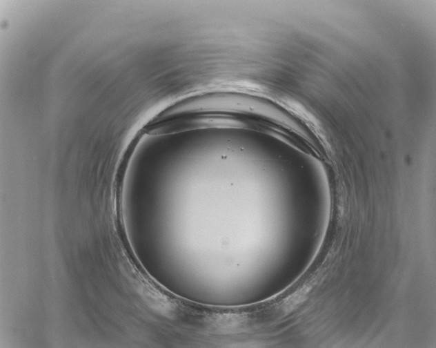 X0000061151280200511210952