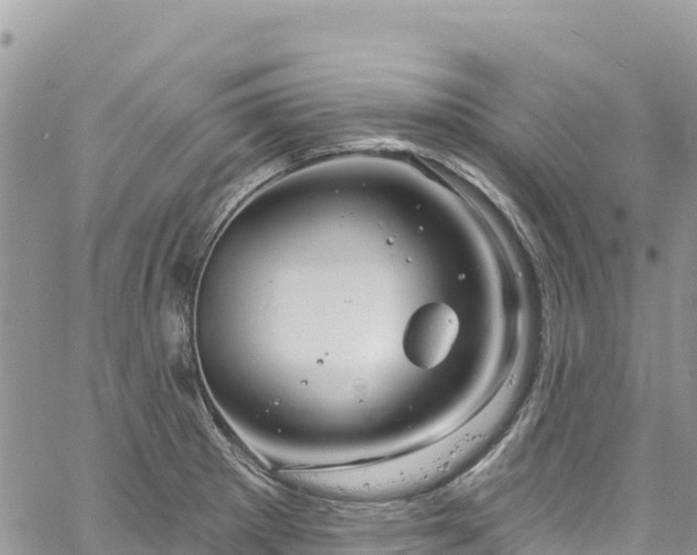 X0000061151281200511210952