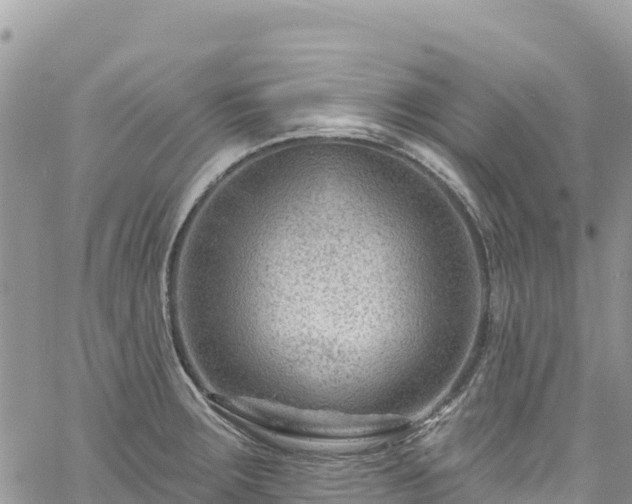 X0000061151283200511210952