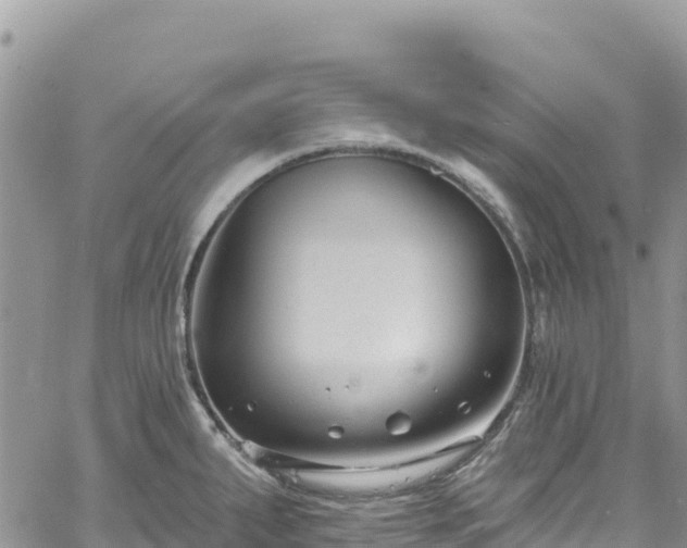 X0000061151287200511210952