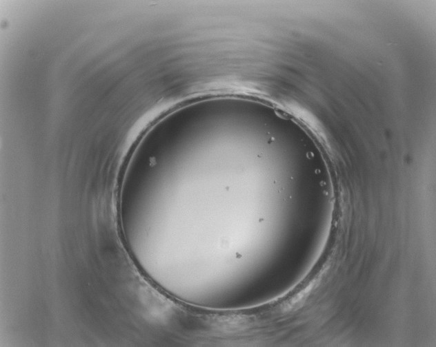 X0000061151288200511210952