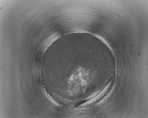 X0000061151289200511210952