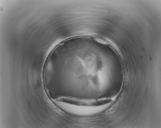 X0000061151291200511210952