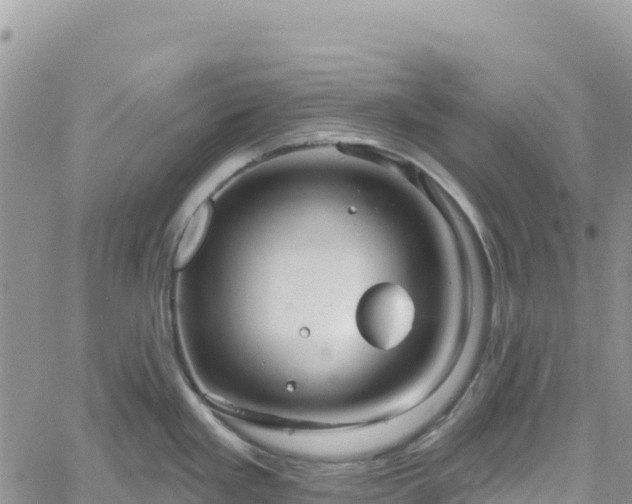 X0000061151293200511210952