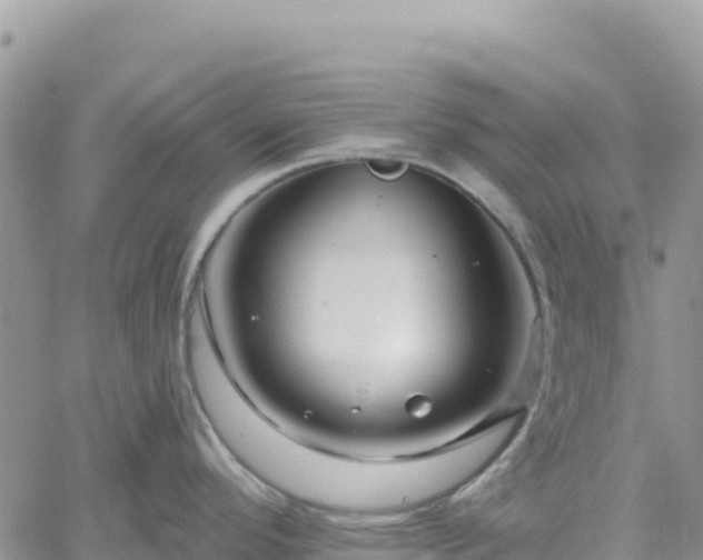 X0000061151296200511210952