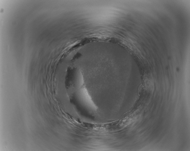 X0000061151297200511210951