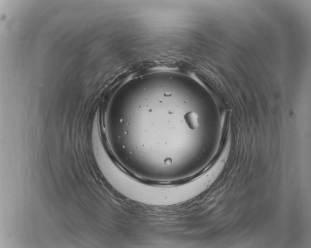 X0000061151298200511210951