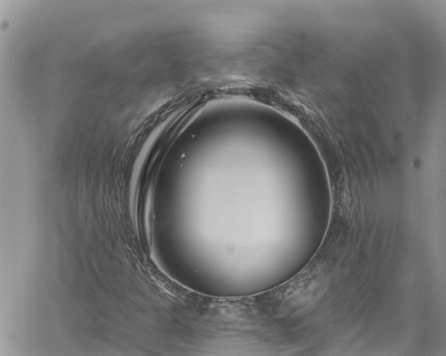 X0000061151301200511210951