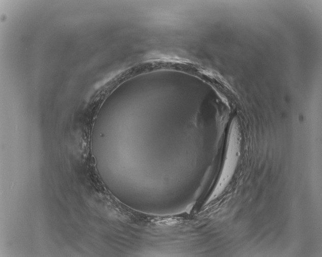 X0000061151303200511210951