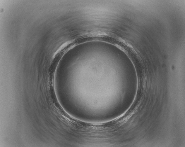 X0000061151306200511210951