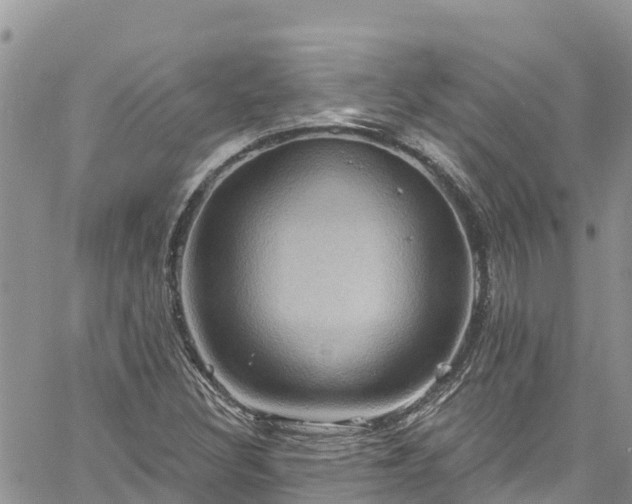 X0000061151308200511210951