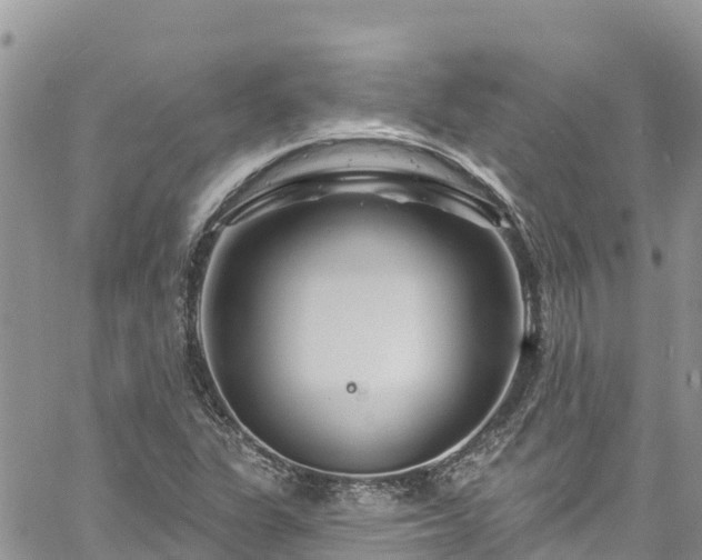 X0000061151311200511210951