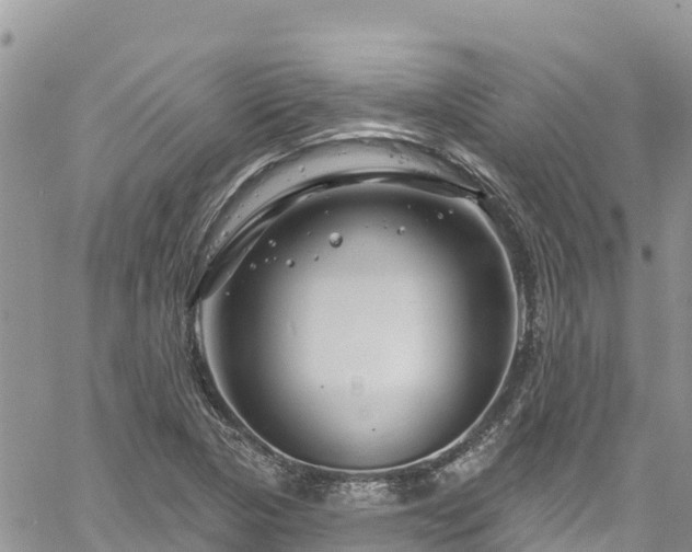 X0000061151313200511210951