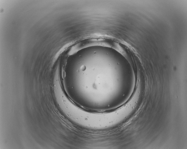 X0000061151314200511210951