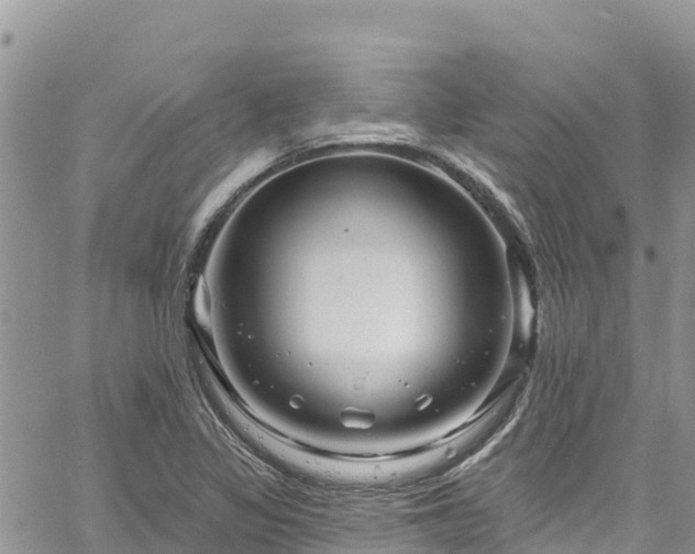 X0000061151317200511210951