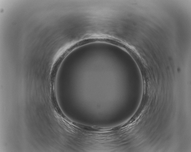 X0000061151319200511210951