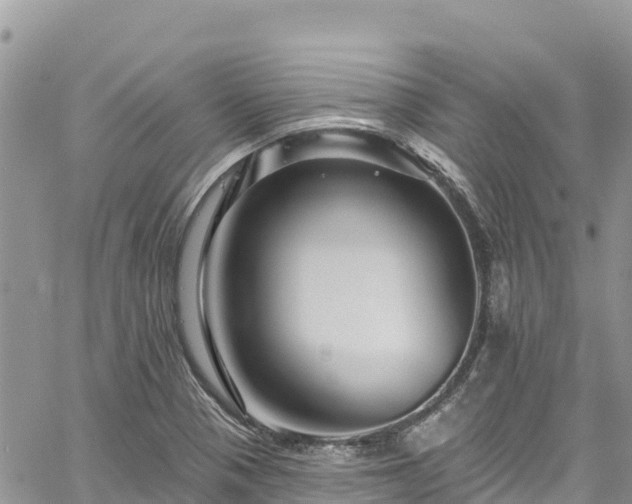 X0000061151321200511210951