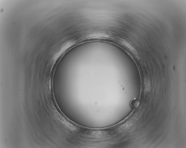 X0000061151322200511210951