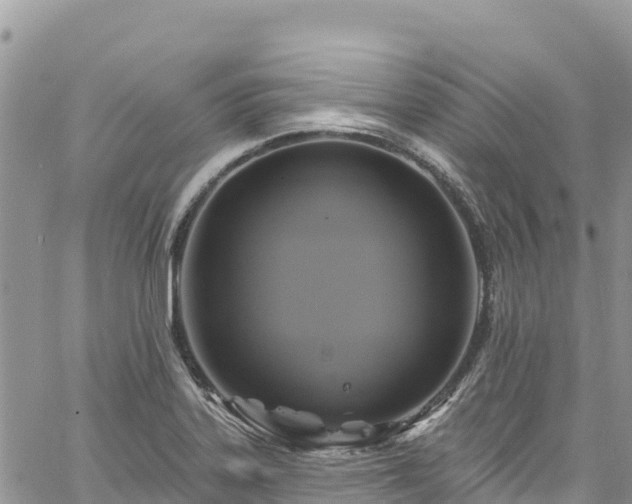 X0000061151323200511210951