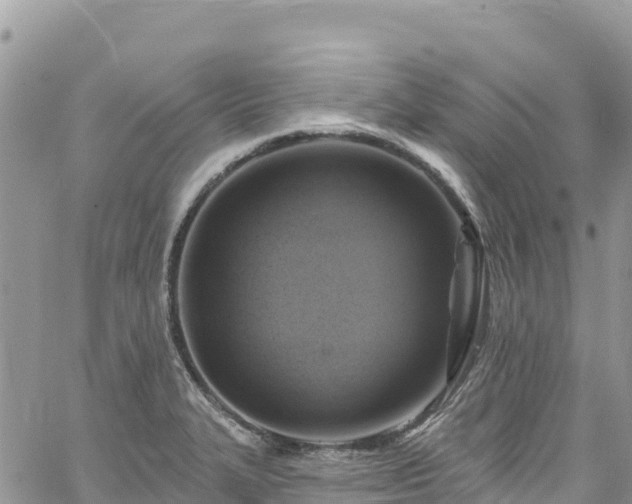 X0000061151327200511210951