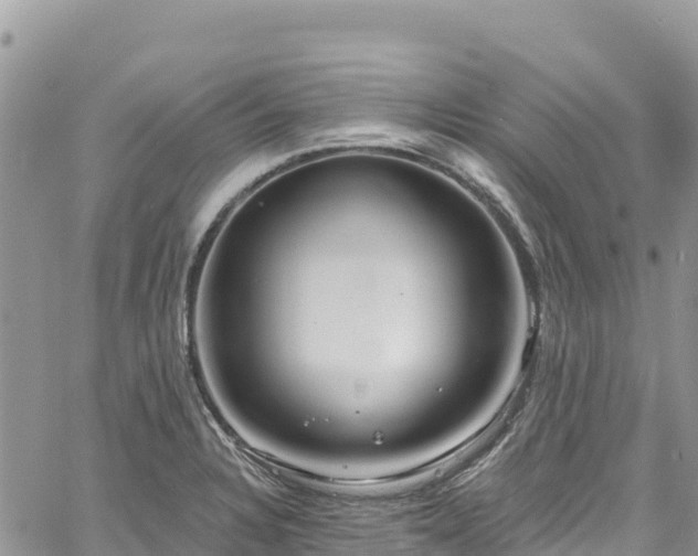 X0000061151328200511210951