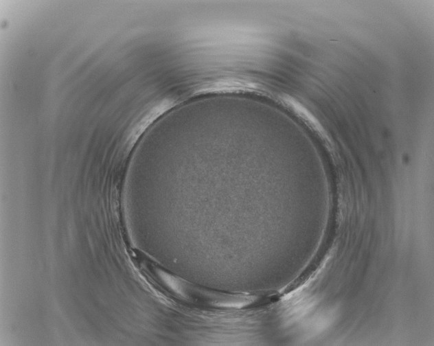 X0000061151329200511210951