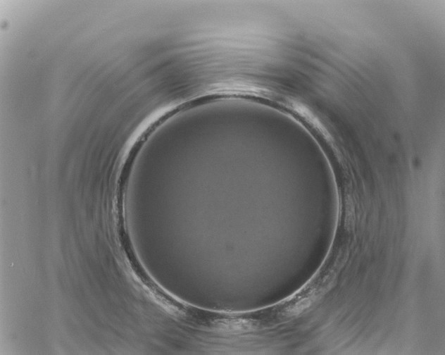 X0000061151331200511210951