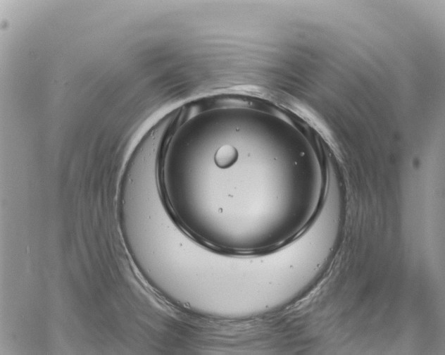 X0000061151332200511210951