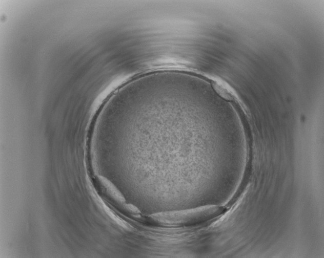 X0000061151333200511210951