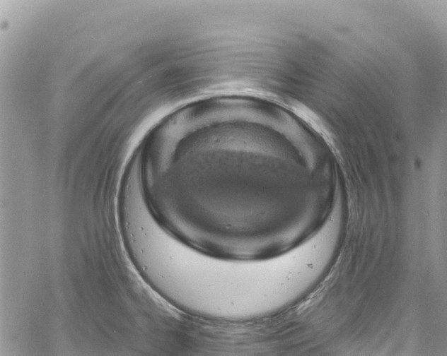 X0000061151334200511210951