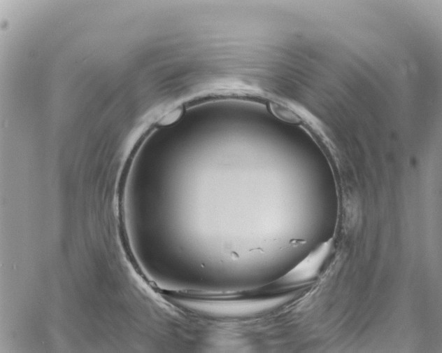 X0000061151335200511210952